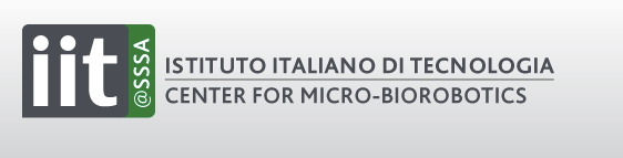 L. Gammaitoni visits the Micro Robotic Lab in Pontedera, Italy ...
