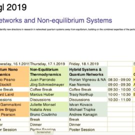NiPS presentation at the “Quantum Networks and Non-equilibrium Systems” workshop